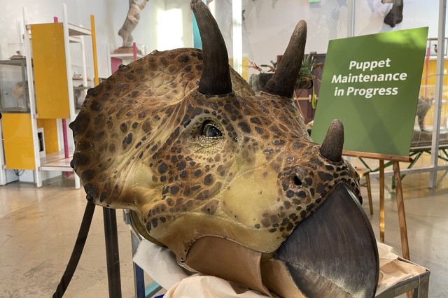 Dakota Triceratops Horns New